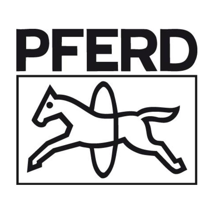 Pferd-Rüggeberg Stiftenfeile normal 200mm H2