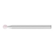 product.name