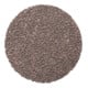 PFERD TOOLS COMBIDISC Compactkorn Schleifblatt CD Ø 50mm A1200 CK für Feinschliff