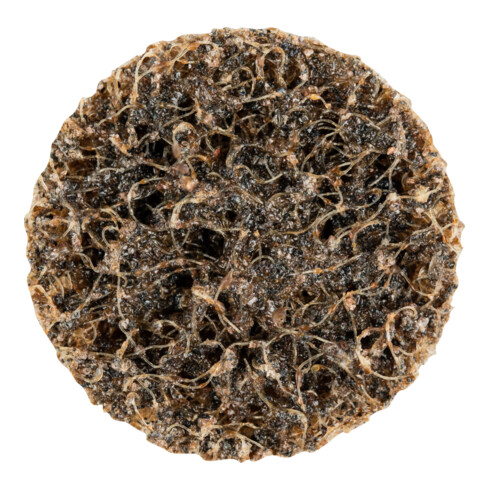 PFERD TOOLS COMBIDISC harte Vliesronde CD Ø 25 mm A100G für Feinschliff und Finish