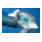 PFERD TOOLS Diamant-Trennscheibe DS SG-3
