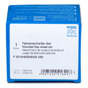 PFERD TOOLS Fächerschleifer-Set Korund A 80 Ø30x15mm, Ø40x20mm und Ø60x30mm Schaft-Ø6mm für Feinschliff& Finish-2