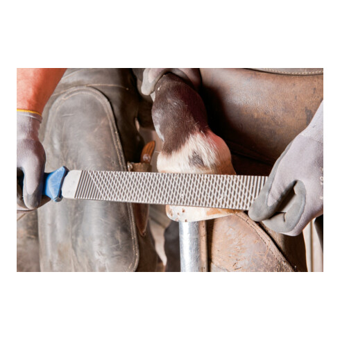 PFERD TOOLS Hufhobel-Feilenheft FH 6/1 110 mm für Hufhobel und flache und halbrunde Feilen, Feilenlänge 350 mm
