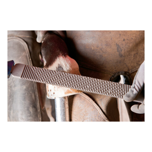 PFERD TOOLS Hufhobel-Feilenheft FH 6/1 110 mm für Hufhobel und flache und halbrunde Feilen, Feilenlänge 350 mm