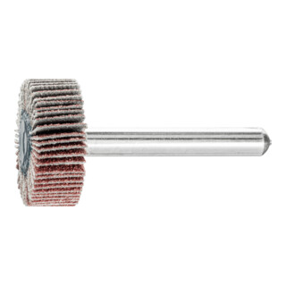 PFERD TOOLS Fächerschleifer F