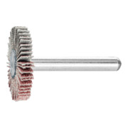 PFERD Fächerschleifer