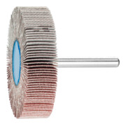 PFERD Fächerschleifer F 6015/6 A 120 60 mm