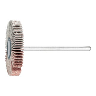 PFERD TOOLS Fächerschleifer F