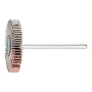 PFERD TOOLS Fächerschleifer F