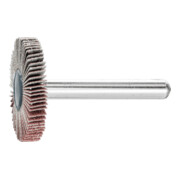PFERD TOOLS Fächerschleifer