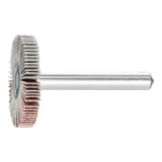 PFERD TOOLS Fächerschleifer