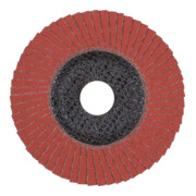 PFERD TOOLS Fächerschleifsch. Gewölbt A 40 SG -COOL 115 mm-4