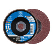PFERD POLIFAN-Fächerscheibe PFF A SG STEELOX/16,0 100 mm