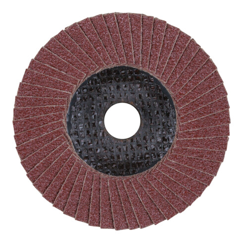 PFERD POLIFAN-Fächerscheibe PFF A SG STEELOX/16,0 100 mm