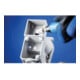 PFERD TOOLS Poliflex Schleifstift Spitzkegelform Ø 10x20mm Schaft-Ø 3 mm Bindung TX A120