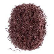 PFERD POLINOX-Ronde für Marmorierkörper MKRK 40 A 100