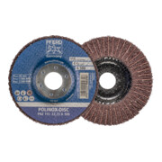 PFERD POLINOX-Schleifdisc PNZ 115-22,23 A 100