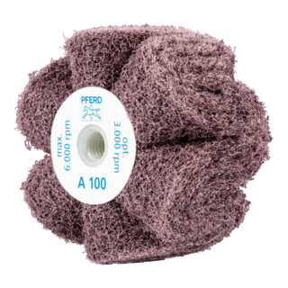 PFERD TOOLS POLINOX Vlies-Schleifrad PNG Ø 100x50mm Gewinde M14 A280 für Feinschliff und Finish
