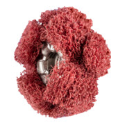 PFERD POLINOX-Schleifstern PNST 50-2 A 280