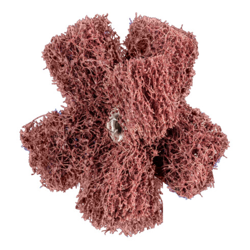 PFERD TOOLS POLINOX Vlies-Schleifstern PNST Ø 50mm Gewinde 8-32 UNC A80 für Feinschliff und Finish