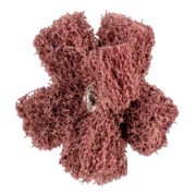 PFERD TOOLS POLINOX Vlies-Schleifstern PNST Ø 50mm Gewinde 8-32 UNC A80 für Feinschliff und Finish