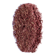 PFERD TOOLS POLINOX Vliesronden Ø 50mm Bohrung-Ø 6 mm A100 für Feinschliff und Finish