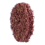 PFERD TOOLS POLINOX Vliesronden Ø 50mm Bohrung-Ø 6 mm A100 für Feinschliff und Finish