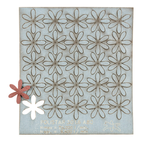 PFERD TOOLS POLISTAR PST Ø 30mm Bohrung Ø 1,6 mm A80 zum Schleifen von Bohrungen und Rohren