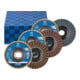 PFERD TOOLS POLIVLIES-Fächerscheiben-Set PVL 3-tlg. Korund Ø 125 mm Bohrung Ø 22,23 mm A100,180,280