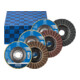 PFERD TOOLS POLIVLIES-Fächerscheiben-Set PVL Korund Ø115mm Bohrung Ø22,23mm A100,180,280