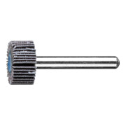 PFERD TOOLS SIC Fächerschleifer F Ø 20x10mm Schaft-Ø 6 mm SIC120 für harte NE Metalle