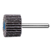 PFERD TOOLS SIC Fächerschleifer F Ø 30x20mm Schaft-Ø 6 mm SIC60 für harte NE Metalle