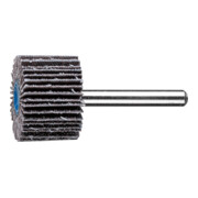 PFERD TOOLS SIC Fächerschleifer F Ø 30x20mm Schaft-Ø 6 mm SIC60 für harte NE Metalle