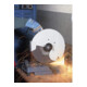 PFERD Trennscheibe CHOPSAW 80 T K SG CHOP STEEL/-2