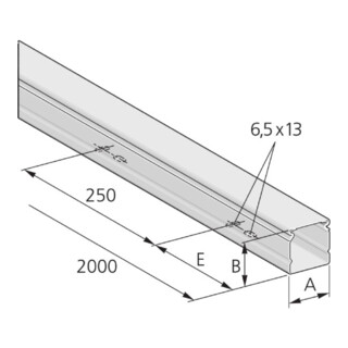 pflitsch Installationskanal PIK 100/60 L=2000mm S