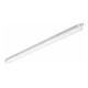 Philips LED-Feuchtraumleuchte 840 DALI WT120 50W 4000K Grau IP66