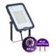 Philips LED-Strahler BVP167 70W 7700lm grau