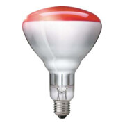 Philips Lighting Chauffage infrarouge 230-250V E27 IR150RH BR125 250V-1