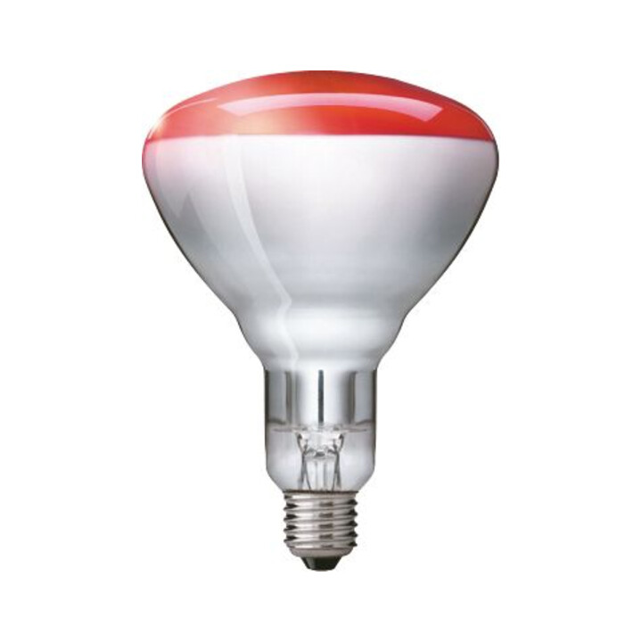 Philips Lighting Infrarot-Heizstrahler 230-250V E27 IR 250 RH