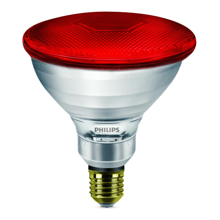 Philips Lighting Lampe chauffante infrarouge E27 240V PAR 38 IR 175 R PAR38/240V