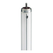 Philips Lighting Lampe fluorescente 20W Fa6 TL-X XL 20W/33-640-1