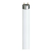 Philips Lighting Lampe fluorescente 36W 3000K G13 1000mm TL-D 36W-1/830-1