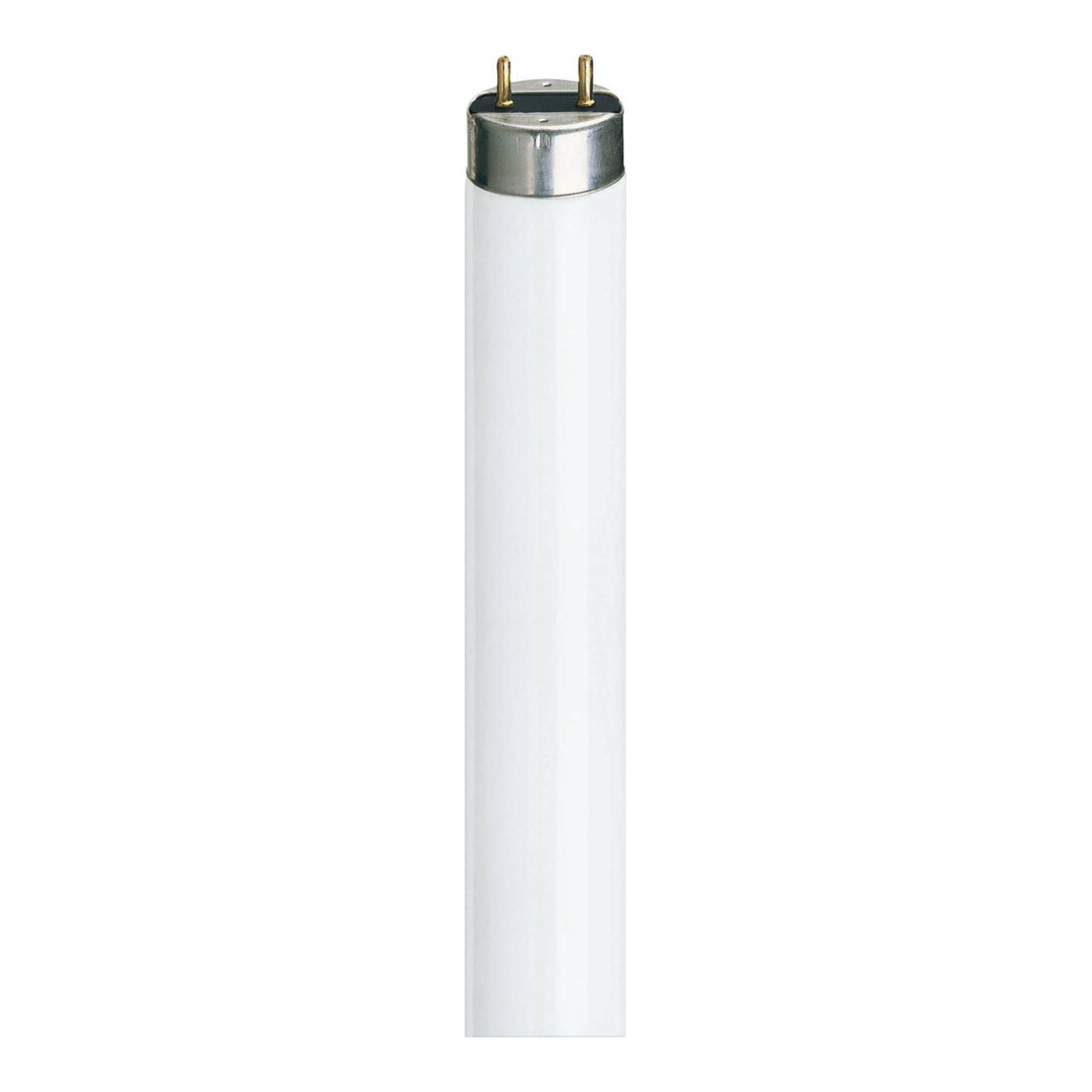 Philips Lighting Lampe fluorescente 36W 3000K G13 1000mm TL-D 36W-1/830