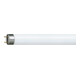 Philips Lighting Lampe fluorescente 36W 3000K G13 1000mm TL-D 36W-1/830