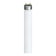 Philips Lighting Lampe fluorescente 36W 4000K G13 1000mm TL-D 36W-1/840-1