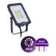 Philips Lighting LED-Strahler BVP167 50W 5500 lm grau