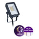 Philips Lighting LED-Strahler BVP167 830/840 LED