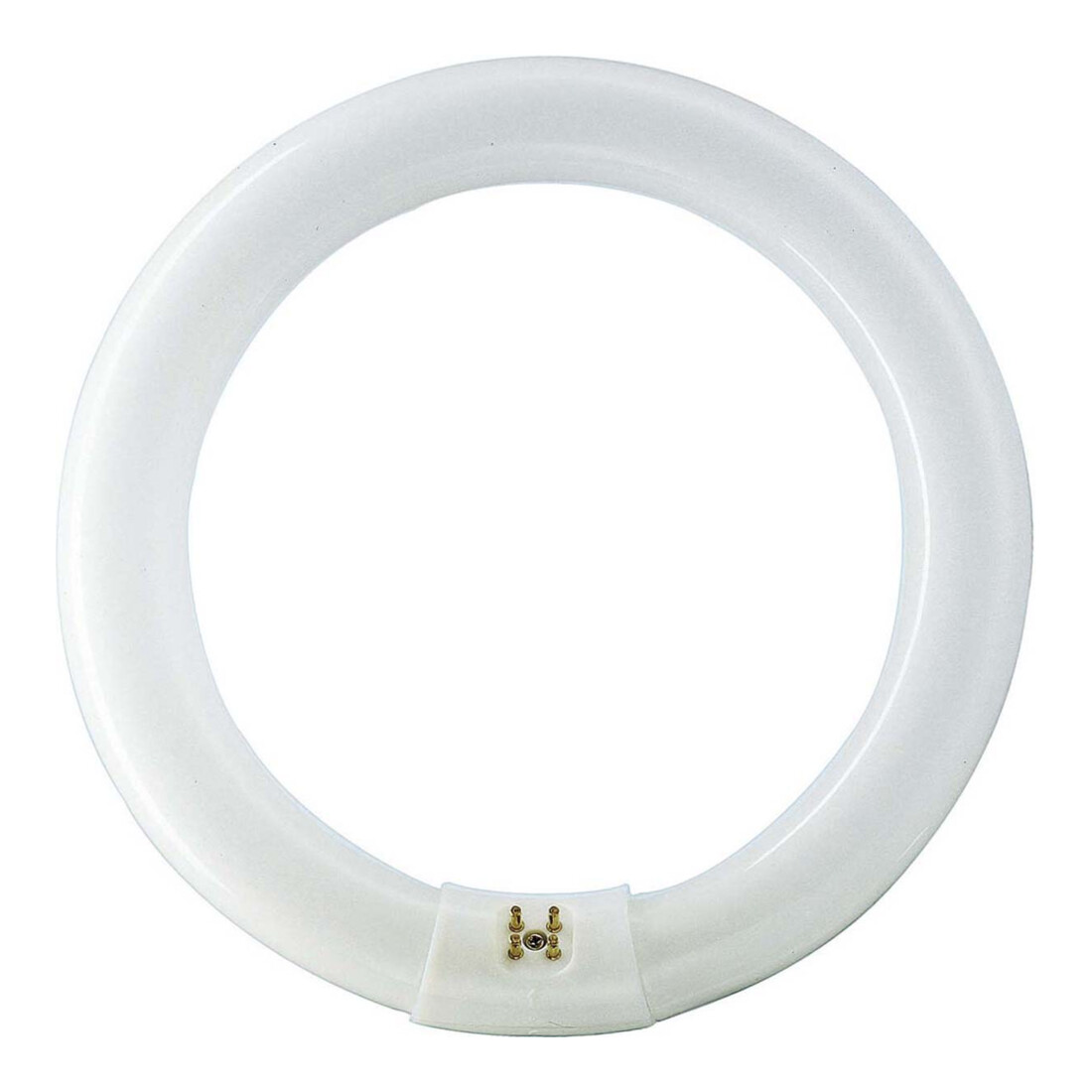 Philips Lighting Leuchtstofflampe 32W nws ringförmig TL-E 32W/840
