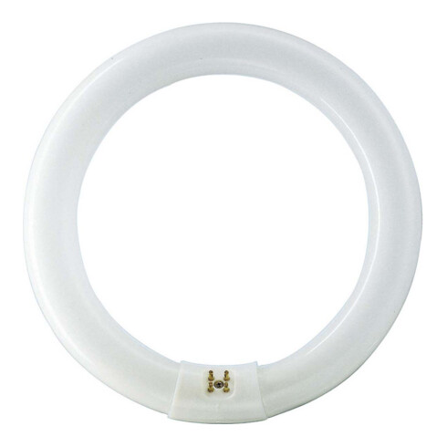 Philips Lighting Leuchtstofflampe 32W wws ringförmig TL-E 32W/830