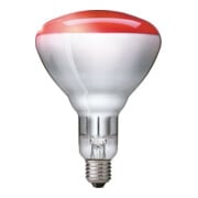 Philips Lighting Radiateur infrarouge 230-250V E27 IR 250 RH-3